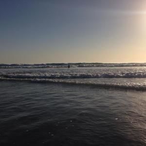 Meet your Posher, Han